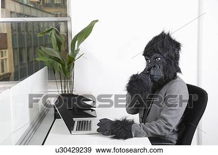 Young man in gorilla mask picking his nose in front of laptop at office View Large Photo Image Stock Photo - Young man in gorilla mask picking his nose in front of laptop at office. Fotosearch