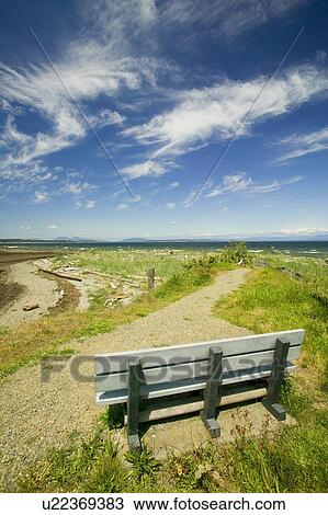 A Park Bench At Oyster Bay A Popular Rest Stop And Bird Viewing