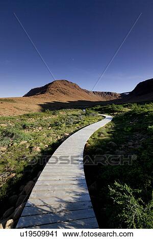 Boardwalk On The Tablelands Hiking Trail In Gros Morne National