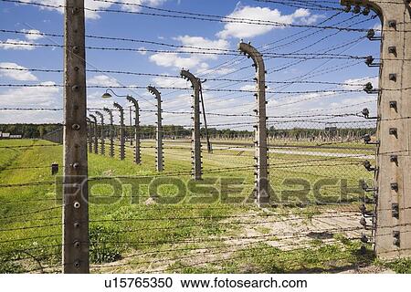 barbed wire electric fence