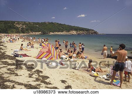 Stock Image -  Acadia National Park, beach, Acadia, Maine, Atlantic Ocean, People enjoying a sunny day on Sand Beach in Acadia Nat'l Park in the state of Maine.. Fotosearch