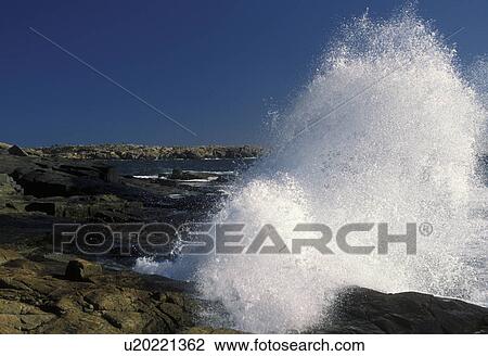 Stock Image -  Acadia National Park, Maine, waves, ocean, shoreline, Waves [crash, break] into the rocky Schoodic Point shoreline of the Atlantic Ocean at Acadia National Park.. Fotosearch