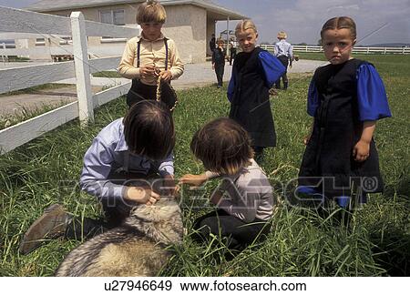 Stock Photo -  Amish, Amish Country, children, Lancaster County, Pennsylvania, Amish bring their pets for Pet Show Day at school in Pennsylvania Dutch Country in Lancaster County in the state of Pennsylvania.. Fotosearch