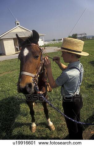 Stock Image -  amish, Amish Country, Lancaster County, Pennsylvania, Amish boy wearing straw hat looks after his pony during Pet Show Day at school in Pennsylvania Dutch Country in Lancaster County in the state of Pennsylvania.. Fotosearch