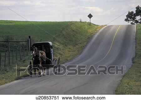 amish, buggy, Amish country, Lancaster County, horse and buggy, Pennsylvania, Pennsylvania Dutch Country, An Amish horse and covered buggy trot down a country road in Lancaster in the state of Pennsylvania. View Large Photo Image Stock Image - amish, buggy, Amish country, Lancaster County, horse and buggy, Pennsylvania, Pennsylvania Dutch Country, An Amish horse and covered buggy trot down a country road in Lancaster in the state of Pennsylvania. . Fotosearch