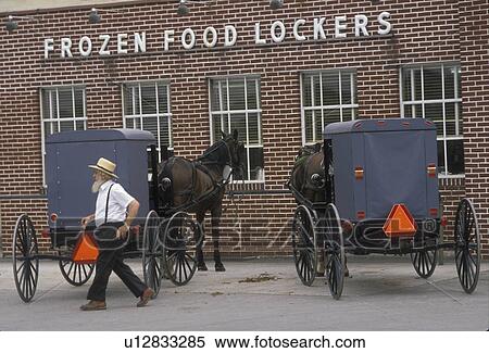 Stock Photography -  Amish, buggy, Pennsylvania, Two Amish horse and buggies are parked outside the Frozen Food Lockers in Intercourse in Lancaster County. An Amish man is walking behind a buggy.. Fotosearch