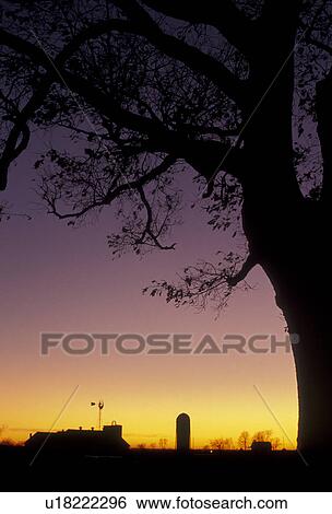 amish, farm, silhouette, Amish Country, Lancaster County, Pennsylvania, A silhouette of an Amish farm and tree at sunset in Pennsylvania Dutch Country in the state of Pennsylvania. View Large Photo Image Stock Photograph - amish, farm, silhouette, Amish Country, Lancaster County, Pennsylvania, A silhouette of an Amish farm and tree at sunset in Pennsylvania Dutch Country in the state of Pennsylvania.. Fotosearch