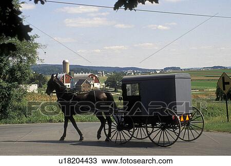 Stock Image -  Amish, horse and buggy, Amish country, Lancaster County, Pennsylvania, Pennsylvania Dutch Country, Amish horse and covered buggy trot by Amish farms on a country road in Lancaster in the state of Pennsylvania.. Fotosearch