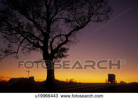 amish, horse and buggy, Amish Country, Lancaster County, Pennsylvania, A silhouette of a tree and an Amish buggy driving up a road at sunset in Pennsylvania Dutch Country in the state of Pennsylvania. View Large Photo Image Stock Image - amish, horse and buggy, Amish Country, Lancaster County, Pennsylvania, A silhouette of a tree and an Amish buggy driving up a road at sunset in Pennsylvania Dutch Country in the state of Pennsylvania.. Fotosearch
