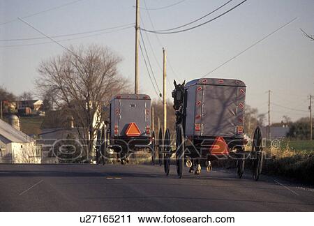 Stock Image -  amish, horse and buggy, Amish Country, Pennsylvania Dutch Country, Pennsylvania, Two Amish horse and covered buggies trot up a country road in Lancaster County in the state of Pennsylvania.. Fotosearch