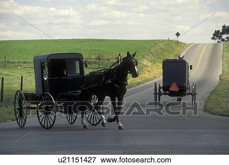 amish, horse and buggy, Amish country, Lancaster County, Pennsylvania, Pennsylvania Dutch Country, Two Amish horse and buggies pass by each other at an intersection on a country road in Lancaster in the state of Pennsylvania. View Large Photo Image Stock Photo - amish, horse and buggy, Amish country, Lancaster County, Pennsylvania, Pennsylvania Dutch Country, Two Amish horse and buggies pass by each other at an intersection on a country road in Lancaster in the state of Pennsylvania. . Fotosearch