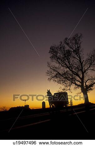 amish, horse and buggy, Amish Country, Lancaster County, Pennsylvania, A silhouette of an Amish horse and buggy trotting down a road at sunset in Pennsylvania Dutch Country in the state of Pennsylvania. View Large Photo Image Stock Photograph - amish, horse and buggy, Amish Country, Lancaster County, Pennsylvania, A silhouette of an Amish horse and buggy trotting down a road at sunset in Pennsylvania Dutch Country in the state of Pennsylvania.. Fotosearch
