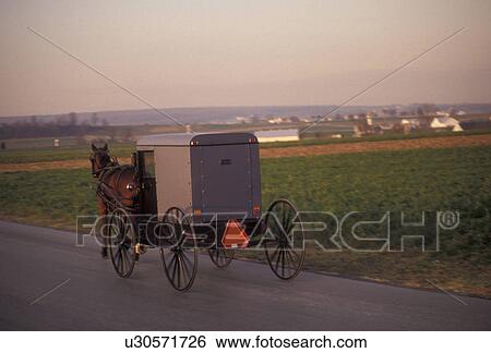 Stock Photograph -  amish, horse and buggy, Amish Country, Pennsylvania Dutch Country, Pennsylvania, Amish horse and covered buggy trot down a country road through the picturesque farmland of Lancaster County in the state of Pennsylvania.. Fotosearch