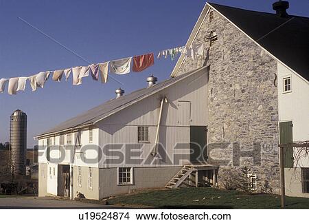 Picture -  Amish, laundry, Amish Country, Pennsylvania Dutch Country, Lancaster, Pennsylvania, Clothes drying on a line on an Amish farm on laundry day in Lancaster County in the state of Pennsylvania.. Fotosearch