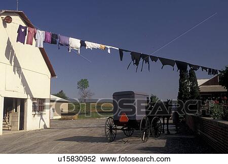 Amish, laundry, Amish Country, Lancaster County, Pennsylvania, Laundry hanging on a clothesline to dry on an Amish farm in Pennsylvania Dutch Country in Lancaster County in the state of Pennsylvania. View Large Photo Image Stock Image - Amish, laundry, Amish Country, Lancaster County, Pennsylvania, Laundry hanging on a clothesline to dry on an Amish farm in Pennsylvania Dutch Country in Lancaster County in the state of Pennsylvania.. Fotosearch