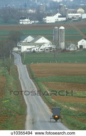 Picture -  Amish, Pennsylvania, buggy, Lancaster County, Pennsylvania, Amish horse and covered buggy traveling on a country road in the scenic Amish farmland of Pennsylvania Dutch Country.. Fotosearch