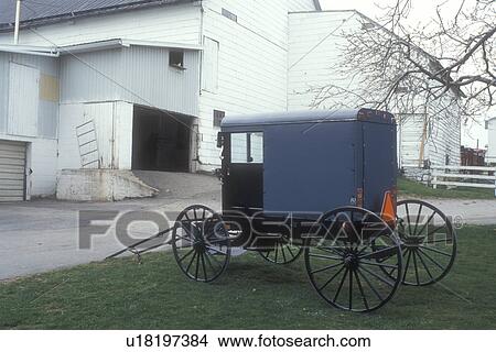 Amish, Pennsylvania, buggy, Lancaster County, Amish covered buggy parked in driveway on an Amish farm in Pennsylvania Dutch Country. View Large Photo Image Picture - Amish, Pennsylvania, buggy, Lancaster County, Amish covered buggy parked in driveway on an Amish farm in Pennsylvania Dutch Country.. Fotosearch