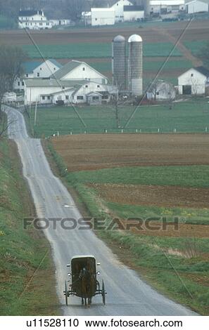 Amish, Pennsylvania, horse and buggy, Lancaster County, Amish horse and covered buggy traveling on a country road in the scenic Amish farmland of Pennsylvania Dutch Country. View Large Photo Image Stock Image - Amish, Pennsylvania, horse and buggy, Lancaster County, Amish horse and covered buggy traveling on a country road in the scenic Amish farmland of Pennsylvania Dutch Country.. Fotosearch