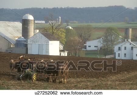 Stock Image -  Amish, Pennsylvania, Lancaster County, farmer, Amish farmer plowing a field with a team of horses in scenic Pennsylvania Dutch Country.. Fotosearch