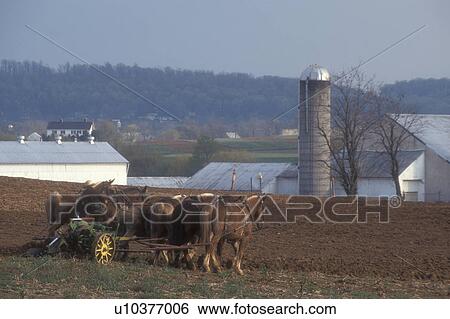 Amish, Pennsylvania, Lancaster County, Amish farmer plowing a field with a team of horses in scenic Pennsylvania Dutch Country. View Large Photo Image Stock Photograph - Amish, Pennsylvania, Lancaster County, Amish farmer plowing a field with a team of horses in scenic Pennsylvania Dutch Country.. Fotosearch
