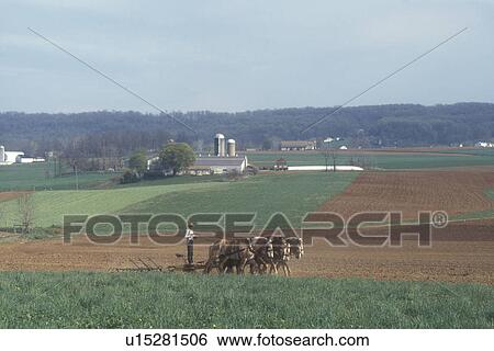 Amish, Pennsylvania, Lancaster County, Amish farmer plowing a field with a team of horses in scenic Pennsylvania Dutch Country. View Large Photo Image Stock Photograph - Amish, Pennsylvania, Lancaster County, Amish farmer plowing a field with a team of horses in scenic Pennsylvania Dutch Country.. Fotosearch