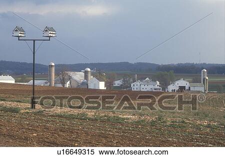 Amish, Pennsylvania, Lancaster County, A birdhouse stands in front of plowed fields and Amish farms in scenic Pennsylvania Dutch Country. View Large Photo Image Stock Photography - Amish, Pennsylvania, Lancaster County, A birdhouse stands in front of plowed fields and Amish farms in scenic Pennsylvania Dutch Country.. Fotosearch