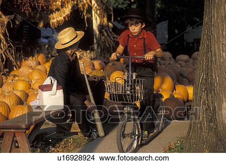 Amish, pumpkins, Lancaster County, Pennsylvania, Intercourse, Two Amish boys play in front of a pumpkin pile in the fall in Lancaster County. One boy with a straw hat wearing black has a baseball bat, the other boy wearing a red shirt and black pants has View Large Photo Image Picture - Amish, pumpkins, Lancaster County, Pennsylvania, Intercourse, Two Amish boys play in front of a pumpkin pile in the fall in Lancaster County. One boy with a straw hat wearing black has a baseball bat, the other boy wearing a red shirt and black pants has. Fotosearch
