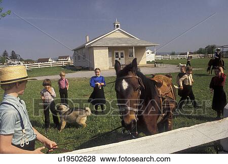 Amish, school, Amish Country, Lancaster County, Pennsylvania, Amish bring their pets for Pet Show Day at school in Pennsylvania Dutch Country in Lancaster County in the state of Pennsylvania. View Large Photo Image Stock Photo - Amish, school, Amish Country, Lancaster County, Pennsylvania, Amish bring their pets for Pet Show Day at school in Pennsylvania Dutch Country in Lancaster County in the state of Pennsylvania.. Fotosearch