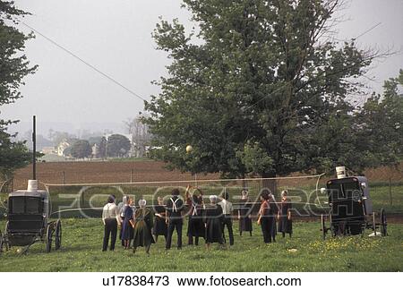 Stock Image -  Amish, volleyball, Amish Country, Lancaster County, Pennsylvania, A group of Amish teens play a game of volleyball with the net attached to two Amish buggies on an Amish farm in Pennsylvania Dutch Country in Lancaster County in the state of Pennsylvania.. Fotosearch