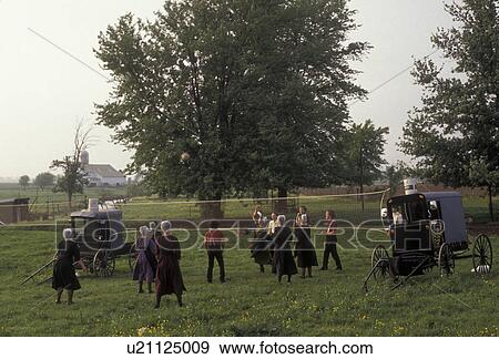Stock Photo -  amish, volleyball, Amish Country, Lancaster County, Pennsylvania, A group of Amish teens play a game of volleyball with the net attached to two Amish buggies on an Amish farm in Pennsylvania Dutch Country in Lancaster County in the state of Pennsylvania.. Fotosearch