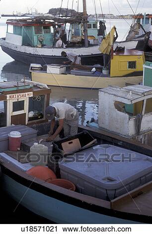 Antigua, Caribbean, St. John's, Caribbean Islands, Fishing boats moored at the marina on St. John's Harbor in St. John's the capital of the island of Antigua (a British Commonwealth member). Local fisherman working in his boat. View Large Photo Image Stock Image - Antigua, Caribbean, St. John's, Caribbean Islands, Fishing boats moored at the marina on St. John's Harbor in St. John's the capital of the island of Antigua (a British Commonwealth member). Local fisherman working in his boat.. Fotosearch