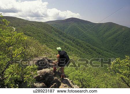 Stock Photo -  Appalachian Trail, backpacking, Shenandoah National Park, hiking, Blue Ridge, Virginia, Appalachian Mountains, Woman hiker carrying a backpack on the Appalachian Trail (a National Scenic Trail) in the Shenandoah Nat'l Park on the Appalachian Trail in the. Fotosearch