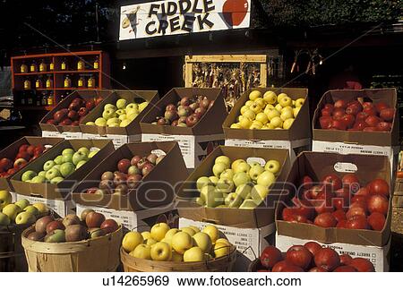 apples, outdoor market, North Georgia, Appalachian Mountains, Fruit stand at Fiddle Creek outdoor market in the state of Georgia. View Large Photo Image Stock Photo - apples, outdoor market, North Georgia, Appalachian Mountains, Fruit stand at Fiddle Creek outdoor market in the state of Georgia. . Fotosearch