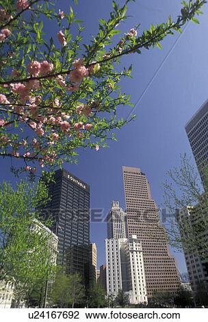 Stock Image -  Atlanta, downtown, Georgia, Skyline of downtown Atlanta in the spring from Woodruff Park in the state of Georgia.. Fotosearch