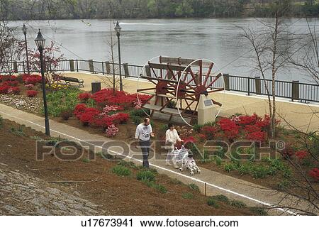 Augusta, Georgia, A family strolls along the Riverwalk and Savannah River with its beautiful spring gardens of red azaleas in Augusta in the state of Georgia. Paddlewheel decoration in the garden View Large Photo Image Stock Image - Augusta, Georgia, A family strolls along the Riverwalk and Savannah River with its beautiful spring gardens of red azaleas in Augusta in the state of Georgia. Paddlewheel decoration in the garden . Fotosearch