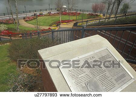 Augusta, Georgia, View of the Riverwalk and Savannah River in Augusta in the state of Georgia. A Coton industry marker in front., View Large Photo Image Stock Image - Augusta, Georgia, View of the Riverwalk and Savannah River in Augusta in the state of Georgia. A Coton industry marker in front., . Fotosearch