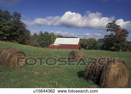 Stock Image -  autumn, Vermont, Hay bales in green field with red barn and blue sky with puffy white clouds in the fall in Peacham in Caledonia County in the state of Vermont., . Fotosearch