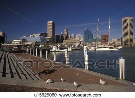 Baltimore, Inner harbor, Maryland, skyline, View of Baltimore's scenic Inner Harbor and the downtown skyline. View Large Photo Image Stock Image - Baltimore, Inner harbor, Maryland, skyline, View of Baltimore's scenic Inner Harbor and the downtown skyline.. Fotosearch