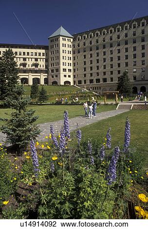 Banff National Park, Lake Louise, hotel, Alberta, Canada, Canadian Rockies, Rocky Mountains, Chateau Lake Louise in Banff National Park in the province of Alberta. View Large Photo Image Stock Image - Banff National Park, Lake Louise, hotel, Alberta, Canada, Canadian Rockies, Rocky Mountains, Chateau Lake Louise in Banff National Park in the province of Alberta. . Fotosearch