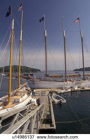 Stock Photo -  Bar Harbor, sailboats, Maine, Atlantic Ocean, Sailboats docked at the marina on the harbor in the scenic seaside town of Bar Harbor on Mount Desert Island in the state of Maine.. Fotosearch