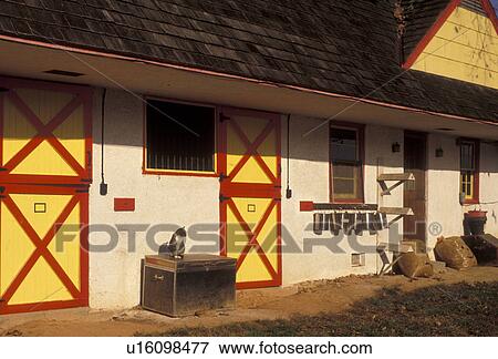 barn, Pennsylvania, A cat sits outside a barn with yellow and red doors at Castle Rock Farm in Brandywine River Valley in Chester County in the state of Pennsylvania View Large Photo Image Stock Photo - barn, Pennsylvania, A cat sits outside a barn with yellow and red doors at Castle Rock Farm in Brandywine River Valley in Chester County in the state of Pennsylvania . Fotosearch