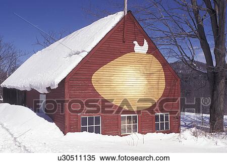 barn, Vermont, VT, Red barn decorated with a painting of a chicken on a large egg in Springfield in the snow in winter. View Large Photo Image Stock Photography - barn, Vermont, VT, Red barn decorated with a painting of a chicken on a large egg in Springfield in the snow in winter.. Fotosearch