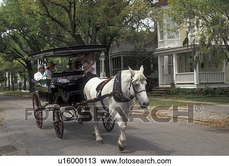 Stock Image -  Beaufort, horse-drawn carriage, South Carolina, Carriage ride takes tourists through the downtown Historic District of Beaufort in the state of South Carolina.. Fotosearch
