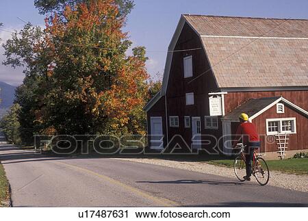 Stock Image -  biking, barn, fall, Vermont, A man bikes along a country road past a red barn during the fall in Chiselville in Bennington County in the state of Vermont.. Fotosearch