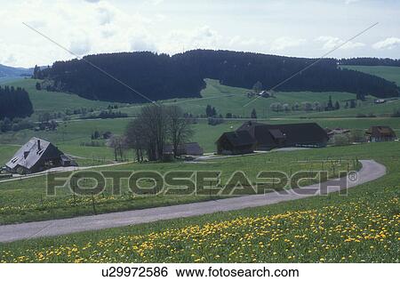 Stock Photograph -  Black Forest, Germany, road, Europe, Scenic view of the lush farmland and countryside of the Black Forest Region in Breitnau, Germany in the spring.. Fotosearch