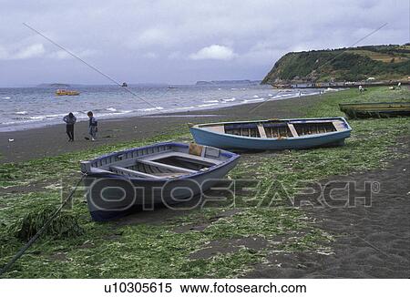 Stock Photography -  boats, Chile, Chiloe Island, Fishing boats lay on green seaweed on the beach at low tide on the Pacific Ocean in Achao on Chiloe Island in Chile.. Fotosearch