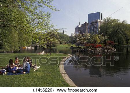 Boston, Boston Common, park, Massachusetts, People enjoying a warm spring day next to the pond in the Boston Common (oldest public park in America) in Boston in the state of Massachusetts. View Large Photo Image Stock Photo - Boston, Boston Common, park, Massachusetts, People enjoying a warm spring day next to the pond in the Boston Common (oldest public park in America) in Boston in the state of Massachusetts.. Fotosearch