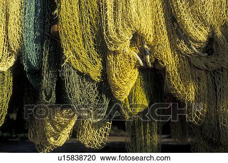British Virgin Islands, fihing nets, Tortola, Caribbean, Virgin Islands, BVI, B. V. I Yellow fishing nets hanging to dry at Brewer's Bay on the island of Tortola on the British Virgin Islands. View Large Photo Image Stock Image - British Virgin Islands, fihing nets, Tortola, Caribbean, Virgin Islands, BVI, B. V. I Yellow fishing nets hanging to dry at Brewer's Bay on the island of Tortola on the British Virgin Islands.. Fotosearch