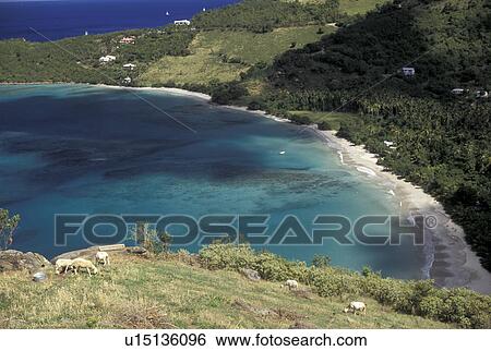 British Virgin Islands, Tortola, Caribbean, Virgin Islands, BVI, B. V. I Picturesque aerial view of Brewer's Bay on the island of Tortola on the British Virgin Islands. View Large Photo Image Stock Photograph - British Virgin Islands, Tortola, Caribbean, Virgin Islands, BVI, B. V. I Picturesque aerial view of Brewer's Bay on the island of Tortola on the British Virgin Islands.. Fotosearch