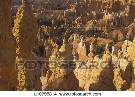 Bryce Canyon, Bryce Canyon National Park, Paunsaugunt Plateau, Utah, Colorful rock formations and pillars called hoodoos rise in jagged towers throughout Bryce Canyon Nat'l Park in the state of Utah. View Large Photo Image Picture - Bryce Canyon, Bryce Canyon National Park, Paunsaugunt Plateau, Utah, Colorful rock formations and pillars called hoodoos rise in jagged towers throughout Bryce Canyon Nat'l Park in the state of Utah.. Fotosearch